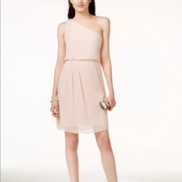 Adrianna Papell Dresses & Skirts - ADRIANNA PAPELL NWT Pink OneShoulder Chiffon Dress